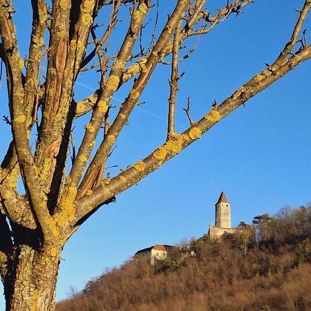 Burgblick Apartment- 60Qm, Kueche, Waschmaschine, Streamingdienste Seebenstein المظهر الخارجي الصورة